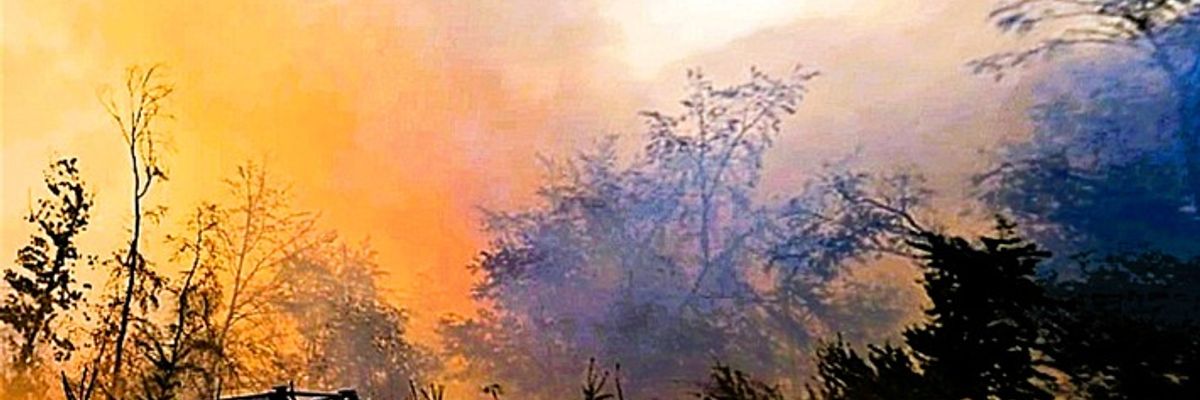 LfBK RLP: Wald- und Vegetationsbrände prägen das Wochenende
