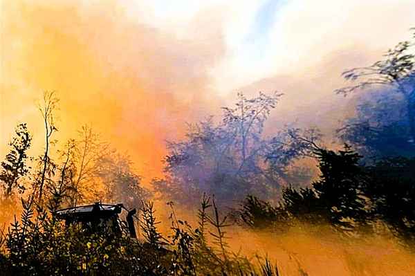 LfBK RLP: Wald- und Vegetationsbrände prägen das Wochenende