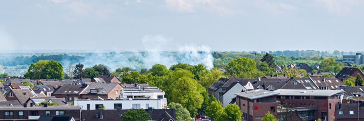 FW-NE: Feuer in Grimlinghausen: Baum und Garage in Brand - schnelle Löschmaßnahmen verhindern Schlimmeres