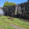 FW Celle: Heckenbrand und vier weitere Einsätze am Samstag