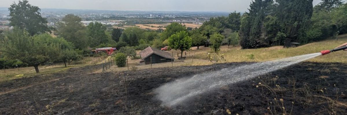 Feuerwehr Weil: Verkehrsunfall & Flächenbrand in Weil am Rhein