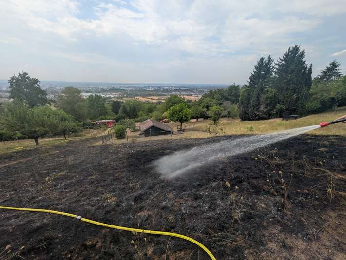 Feuerwehr Weil: Verkehrsunfall & Flächenbrand in Weil am Rhein