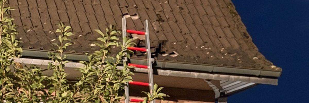 FW Xanten: Katze von Dachfirst gerettet