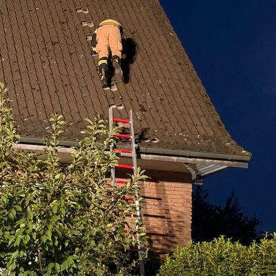 FW Xanten: Katze von Dachfirst gerettet