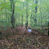 FW-AR: Wasser, Drohnen, Riegelstellung: Feuerwehr Arnsberg simuliert Ernstfall im Wald