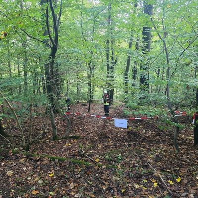 FW-AR: Wasser, Drohnen, Riegelstellung: Feuerwehr Arnsberg simuliert Ernstfall im Wald