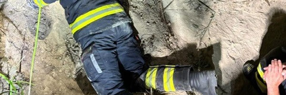 FW-M: Hund verirrt sich in Dachsbau (gemeindefreies Gebiet)