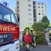 FW-DT: Rauchwarnmelder macht Nachbarn auf angebranntes Kochgut aufmerksam