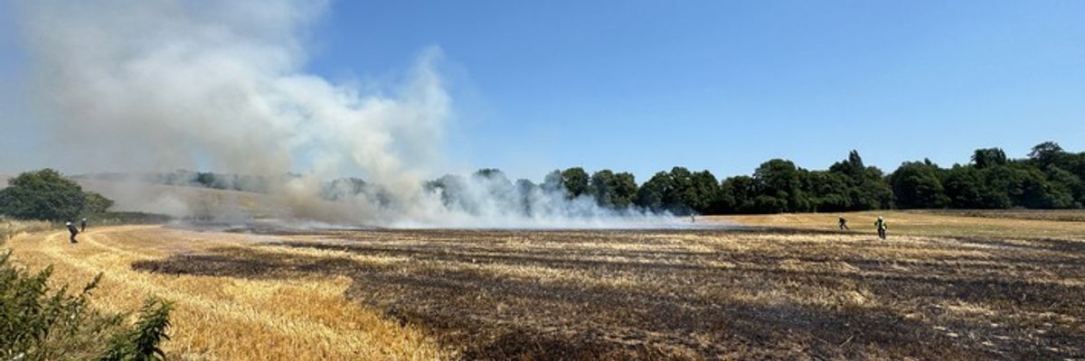 FW-Erkrath: Feuerwehr Erkrath bekämpft Flächenbrand von rund 9.000 m²