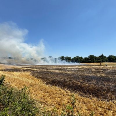 FW-Erkrath: Feuerwehr Erkrath bekämpft Flächenbrand von rund 9.000 m²