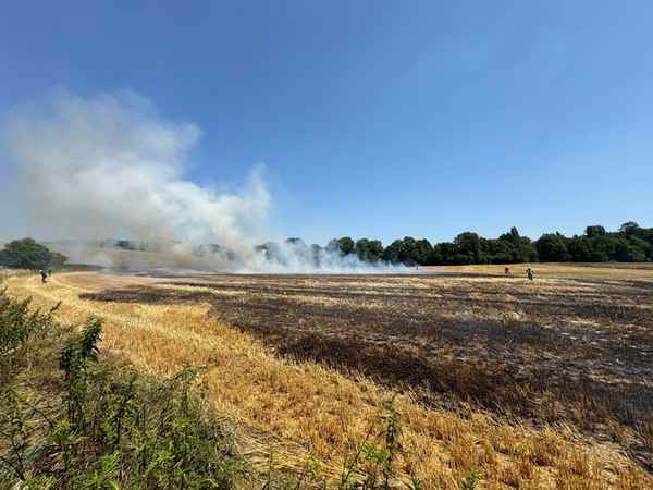 FW-Erkrath: Feuerwehr Erkrath bekämpft Flächenbrand von rund 9.000 m²