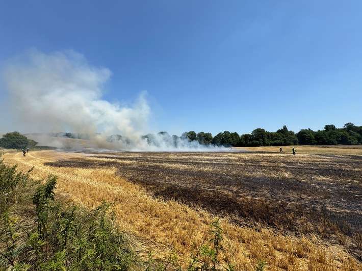 FW-Erkrath: Feuerwehr Erkrath bekämpft Flächenbrand von rund 9.000 m²