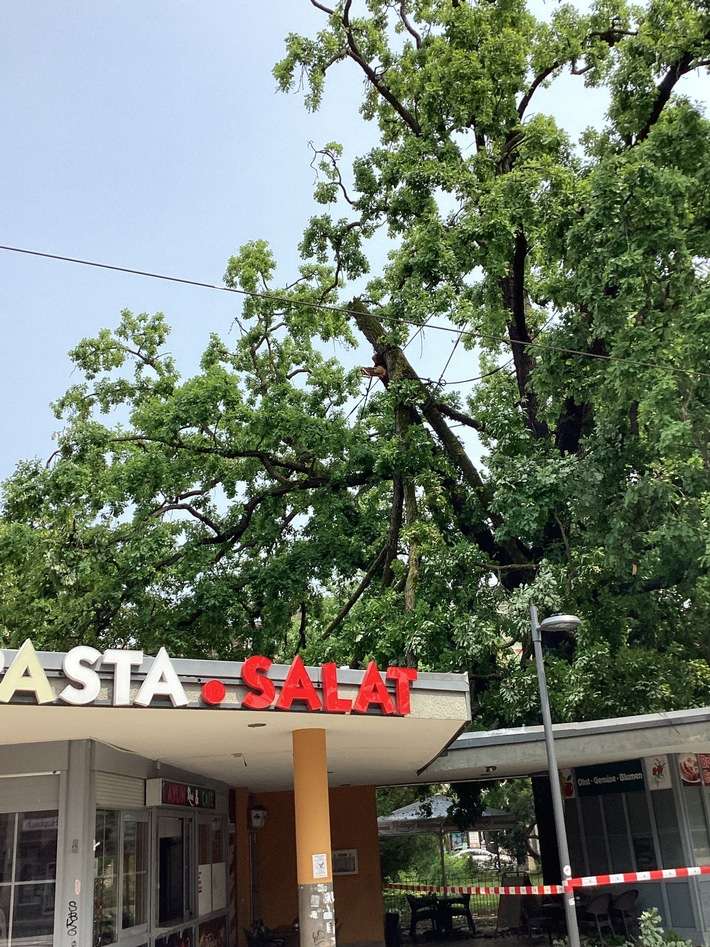 FW Dresden: Sturmtief sorgt für Einsätze der Feuerwehr am Pfingstwochenende