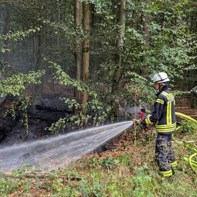 FW Königswinter: Brandausbreitung im Wald in Königswinter-Gratzfeld rechtzeitig gestoppt