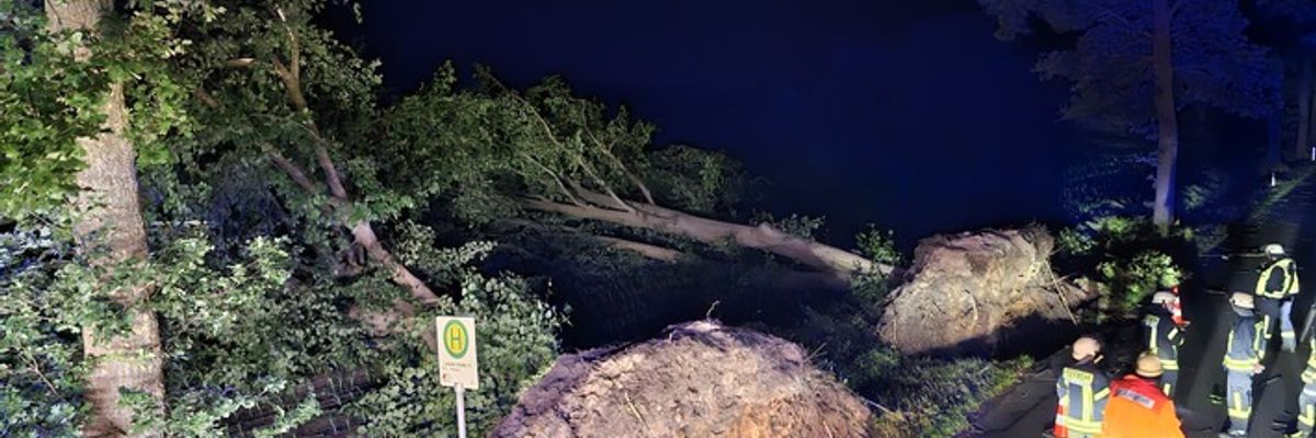 FFW Schiffdorf: Sturmtief fordert Großteil der Gemeindefeuerwehr - Mehrere Einsätze parallel