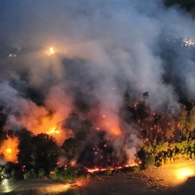 FW Alpen: Überörtliche Hilfe bei Waldbrand in Sonsbeck - Labbeck
