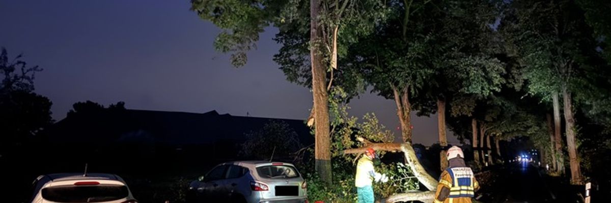 FW Tönisvorst: Ein umgestürzter Baum sorgte für einen Unfall zwischen zwei ausweichenden Fahrzeugen und sorgte für erhebliche Verkehrsstörung, verletzt wurde niemand