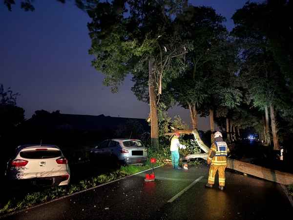 FW Tönisvorst: Ein umgestürzter Baum sorgte für einen Unfall zwischen zwei ausweichenden Fahrzeugen und sorgte für erhebliche Verkehrsstörung, verletzt wurde niemand