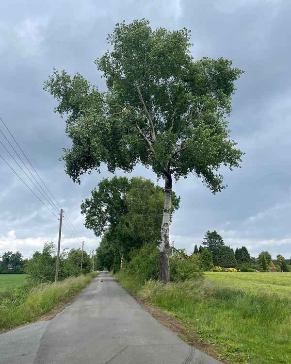FW-Schermbeck: Zwei Einsätze am Mittwoch
