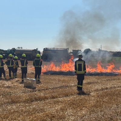 FW-MG: Feuerwehr-Übung: Vegetationsbrandbekämpfung