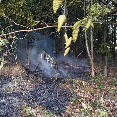 FW Ense: Feuerwehr Ense löscht Waldbrand / Fahrlässigkeit vermutlich Ursache