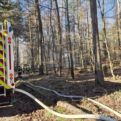 FW Pforzheim: Waldbrand im Bereich Hagenschieß - Eichwald