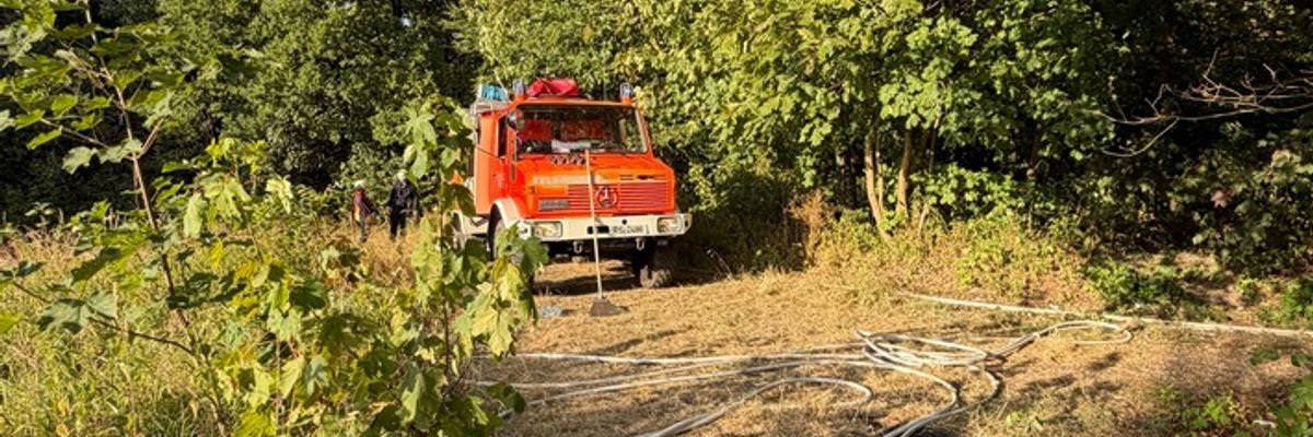 FW-RS: Vegetationsbrand Papenberg Feuerwehr verhindert weitere Ausbreitung