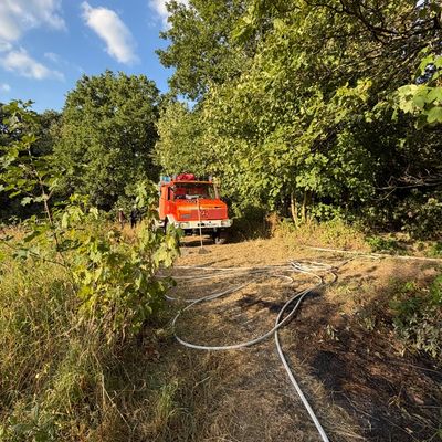 FW-RS: Vegetationsbrand Papenberg Feuerwehr verhindert weitere Ausbreitung