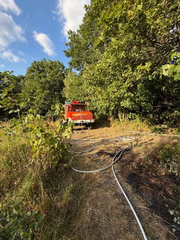 FW-RS: Vegetationsbrand Papenberg Feuerwehr verhindert weitere Ausbreitung