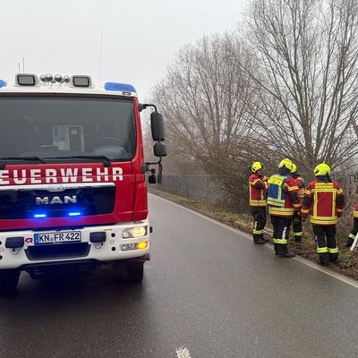 FW Reichenau: Schwan vom Bahndamm gerettet, Reichenau-Lindenbühl, 20.01.2026