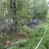 FW-OG: Vegetationsbrand im Offenburger Stadtwald