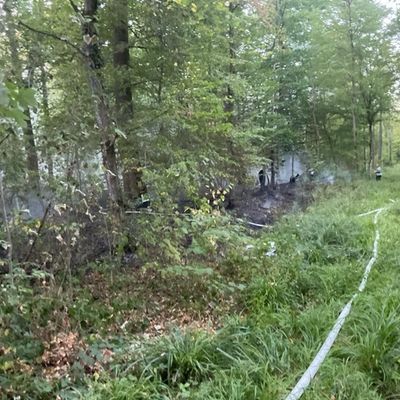 FW-OG: Vegetationsbrand im Offenburger Stadtwald