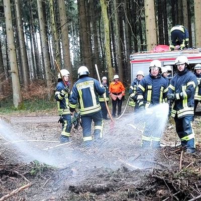 FW Eigeltingen: Feuerwehr-Abteilungen Honstetten, Reute und Eigeltingen werden zu Brand im Wald alarmiert