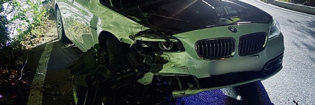 FW-EN: Verkehrsunfall und Tierrettung