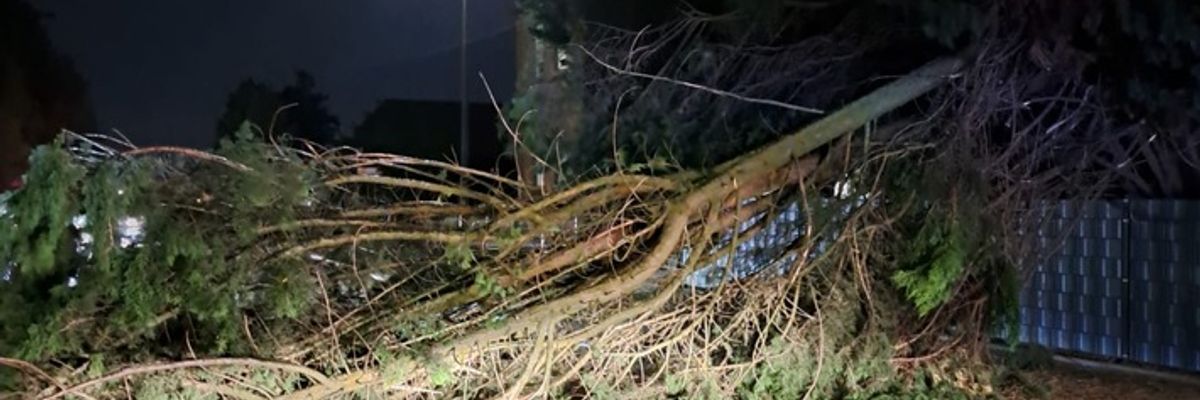 FW-WRN: Fünf sturmbedingte Einsätze nach Unwetter im Stadtgebiet