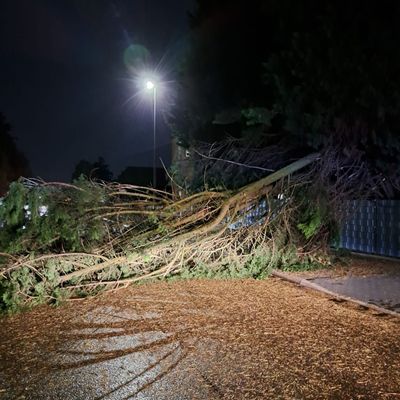 FW-WRN: Fünf sturmbedingte Einsätze nach Unwetter im Stadtgebiet
