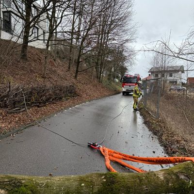 FW Weinheim: Windböe fordert Feuerwehr in Rippenweier