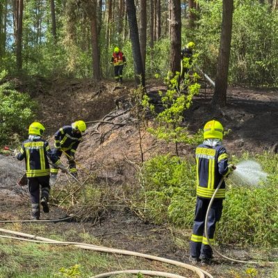 FW Flotwedel: Waldbrand zwischen Oppershausen und Offensen beschäftigt die Feuerwehren der Samtgemeinde Flotwedel