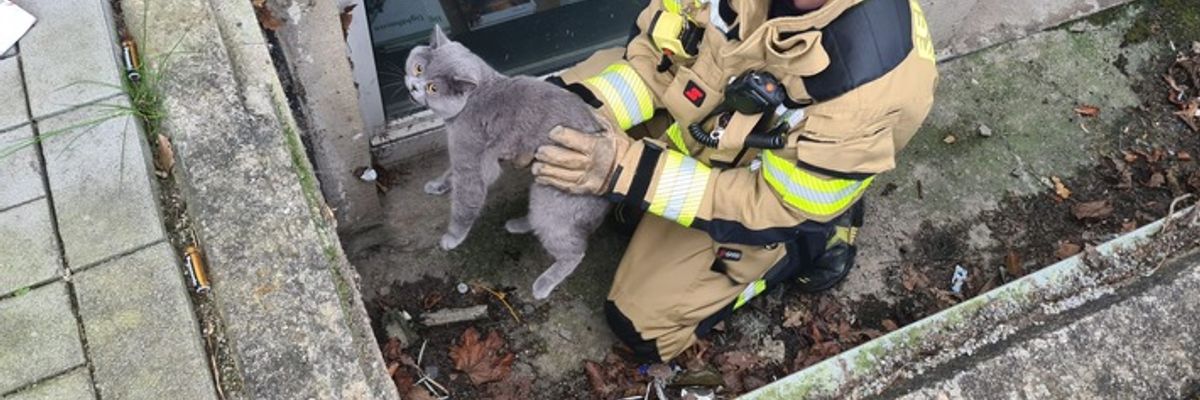 FW-EN: Feuerwehr rettet Katze