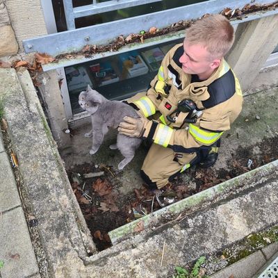 FW-EN: Feuerwehr rettet Katze