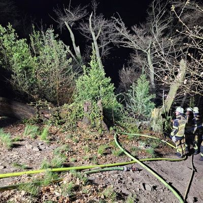 FW-E: Nächtlicher Waldbrand in steilem Gelände - Feuerwehr im Großeinsatz