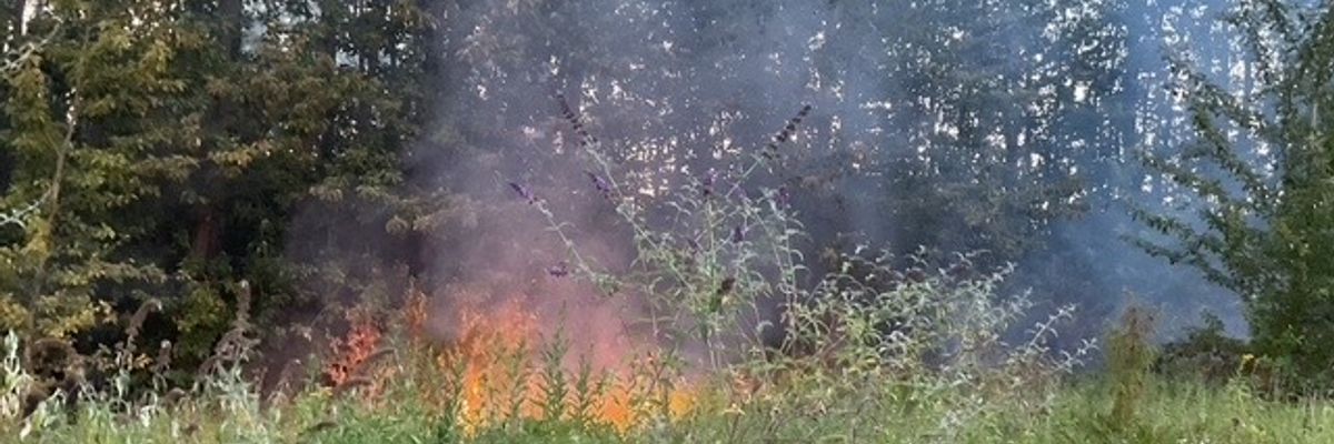 FW-DO: Vegetationsbrand im Bereich der Brackeler Straße