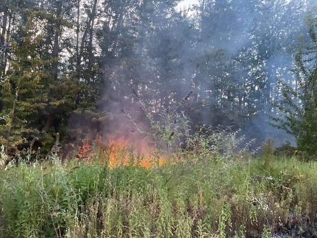 FW-DO: Vegetationsbrand im Bereich der Brackeler Straße