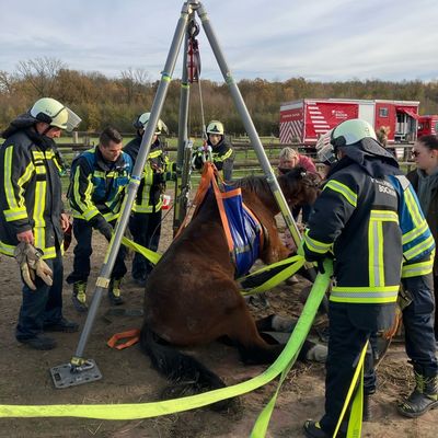 FW-BO: Pferderettung in Sevinghausen