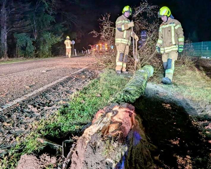 FW-OLL: PKW kollidiert mit Baum und bringt diesen zu Fall