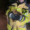 FW Alpen: Feuerwehr Alpen rettet Eichhörnchen aus Zwangslage