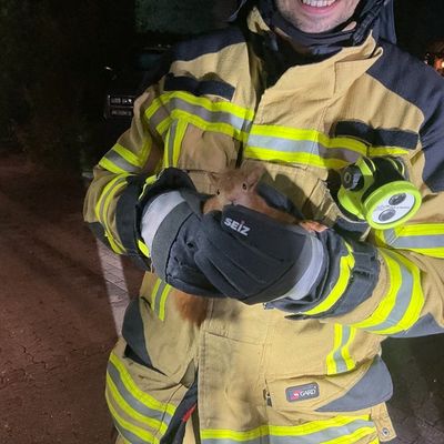 FW Alpen: Feuerwehr Alpen rettet Eichhörnchen aus Zwangslage