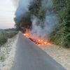 FW-DO: Vegetationsbrand in Dortmund Lanstop