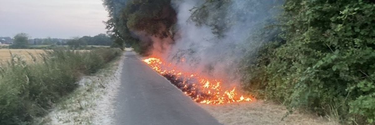 FW-DO: Vegetationsbrand in Dortmund Lanstop
