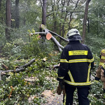 FW-EN: Mehrere Einsätze am Wochenende - Baum blockierte Straße Kemnade